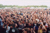 Crowd4.gif (105667 bytes)