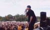 Jaycrowd2.gif (73838
bytes)